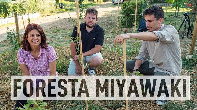 File:Thumbnail youtube QvPVDle97ec.jpg