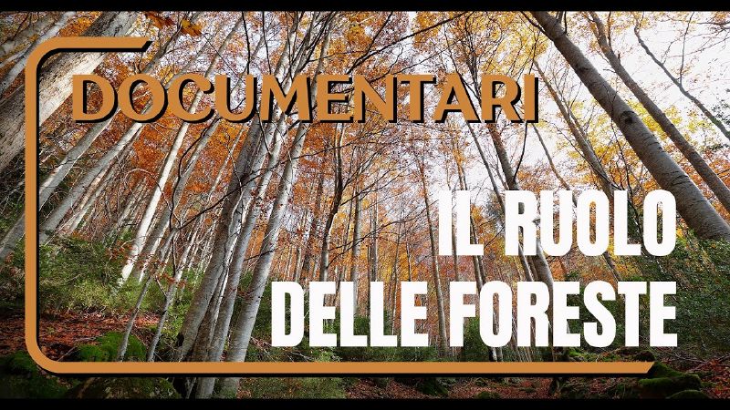 File:Thumbnail youtube Ac-v9dUKmmo.jpg