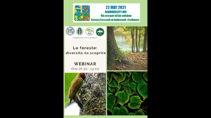 File:Thumbnail youtube nOOIUXi8NqU.jpg